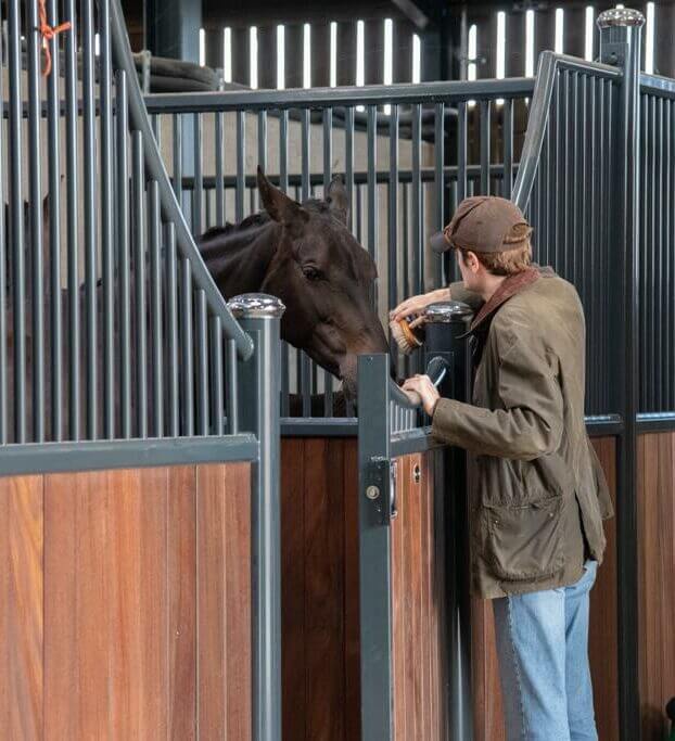 Stud Horse Grooming Stable