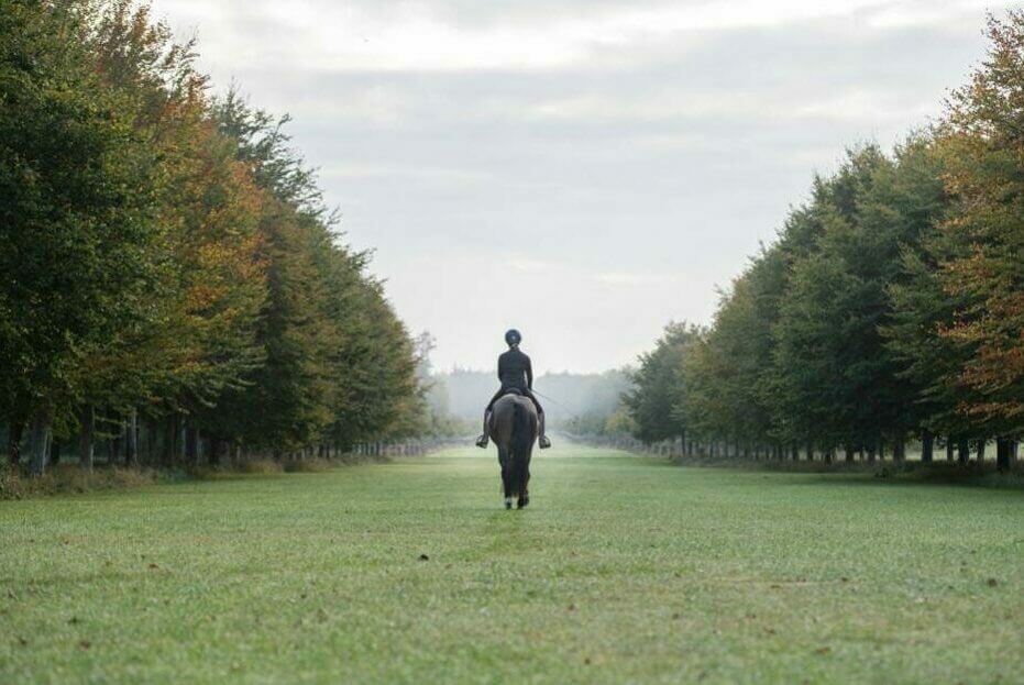St Giles Stud Horse Riding The Avenue