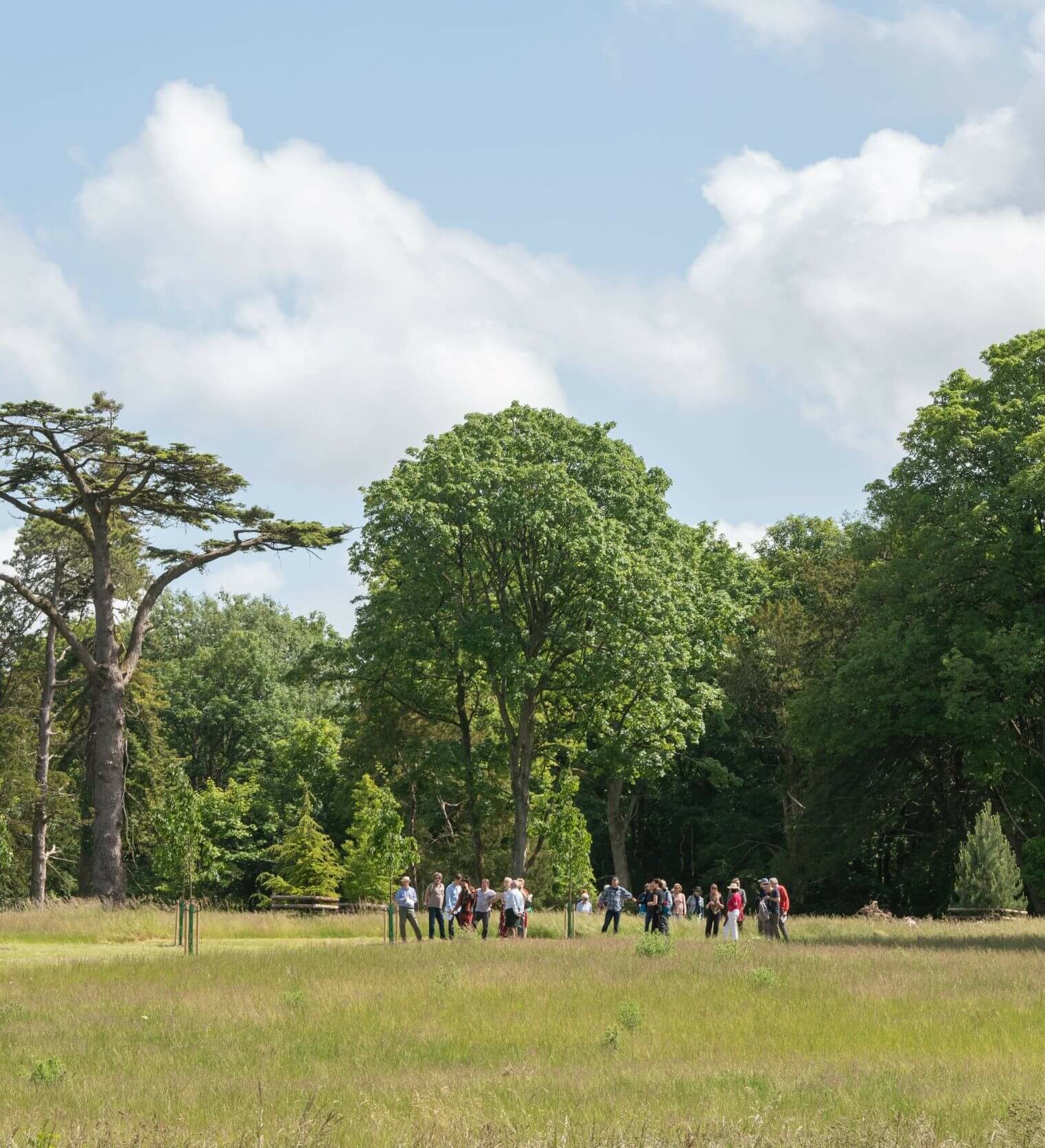 A Group of Realisation Festival Attendees Walk Across St Giles Private Estate