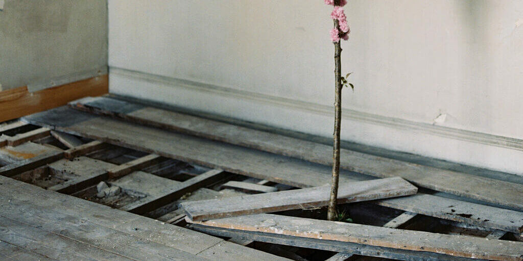 Restoration of St Giles House Floorboards Flower