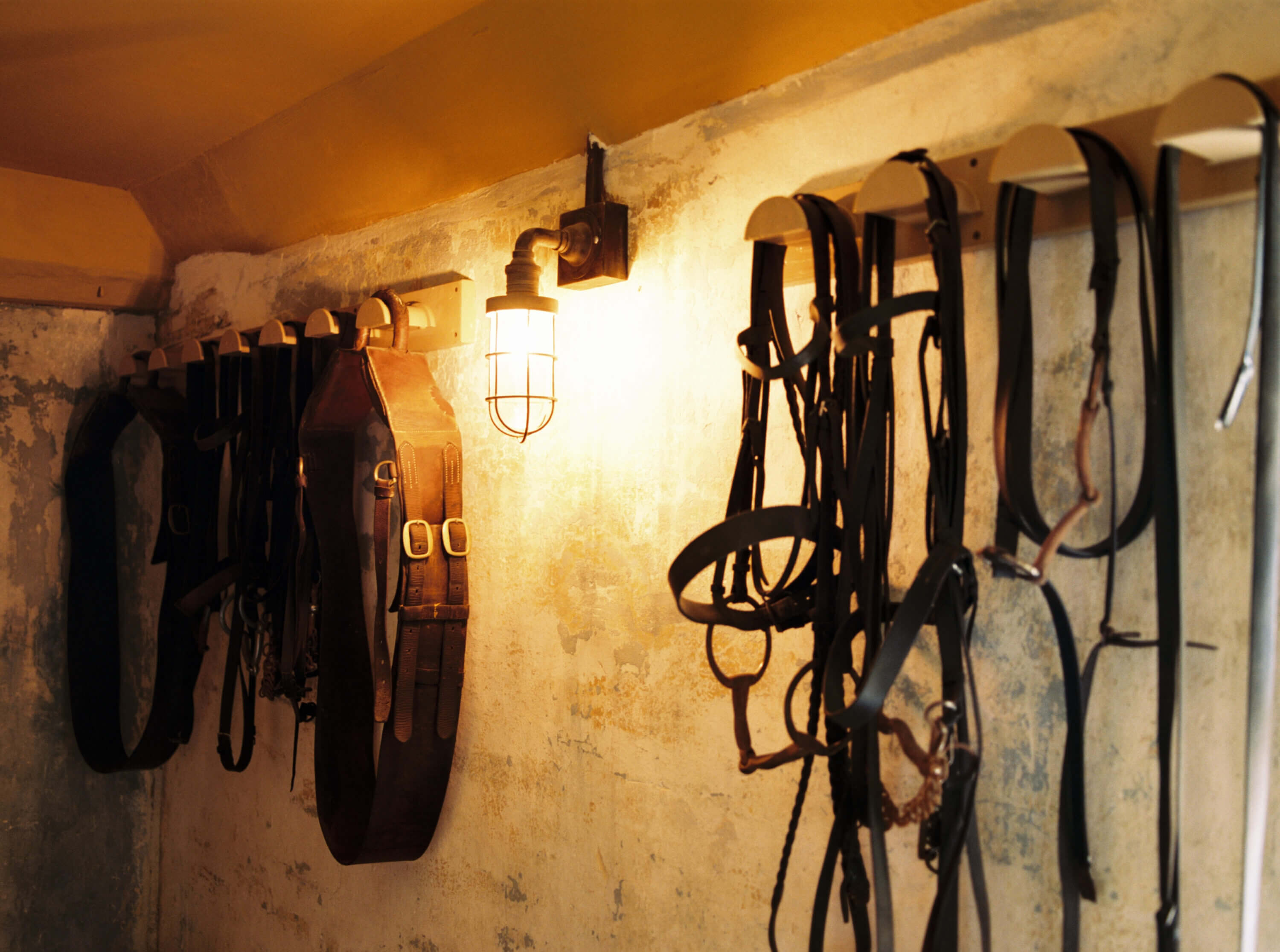 The Riding House Decor Stable and Reins St Giles House Taylor & Porter